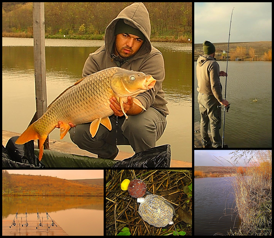 Moments... - image1111.png